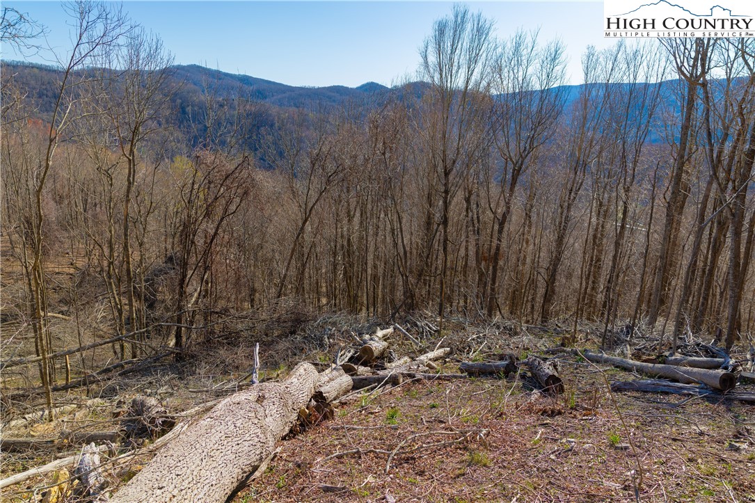 Lot 94 Bear Paw Road Elk Park, NC 28622 - Photo 6 of 13