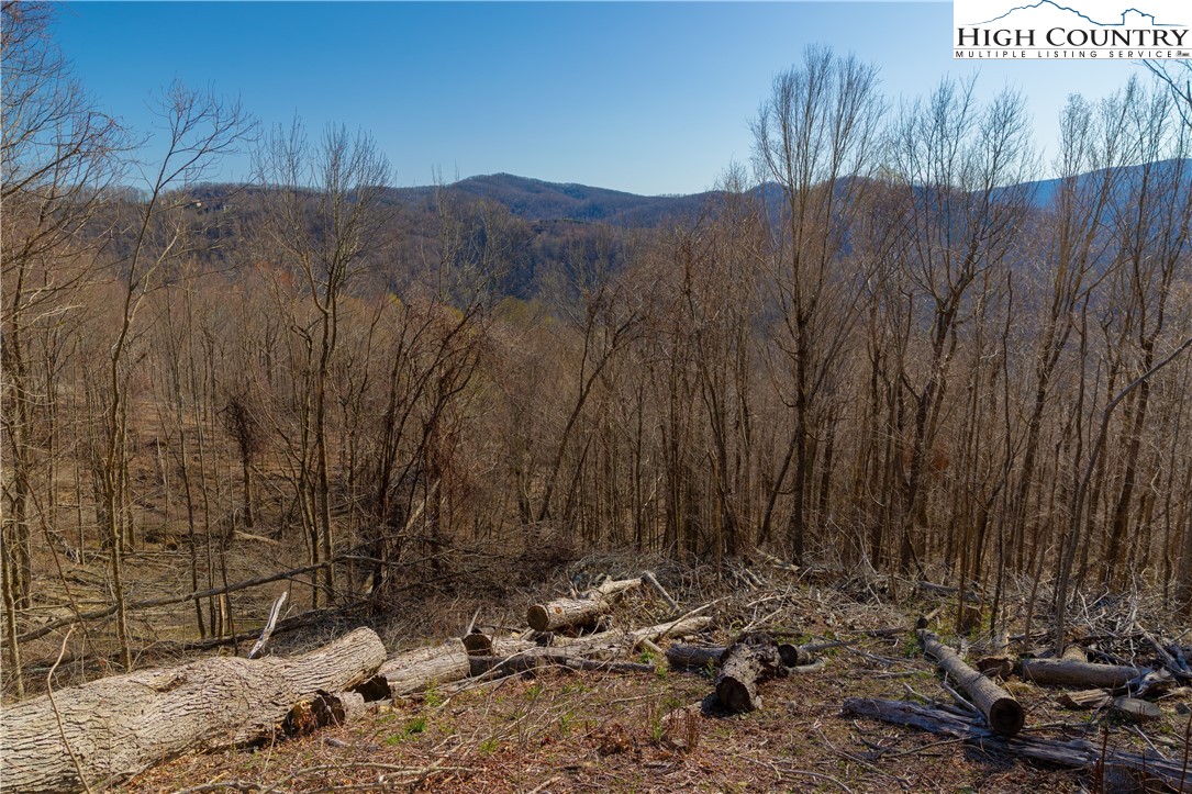 Lot 94 Bear Paw Road Elk Park, NC 28622 - Photo 9 of 13