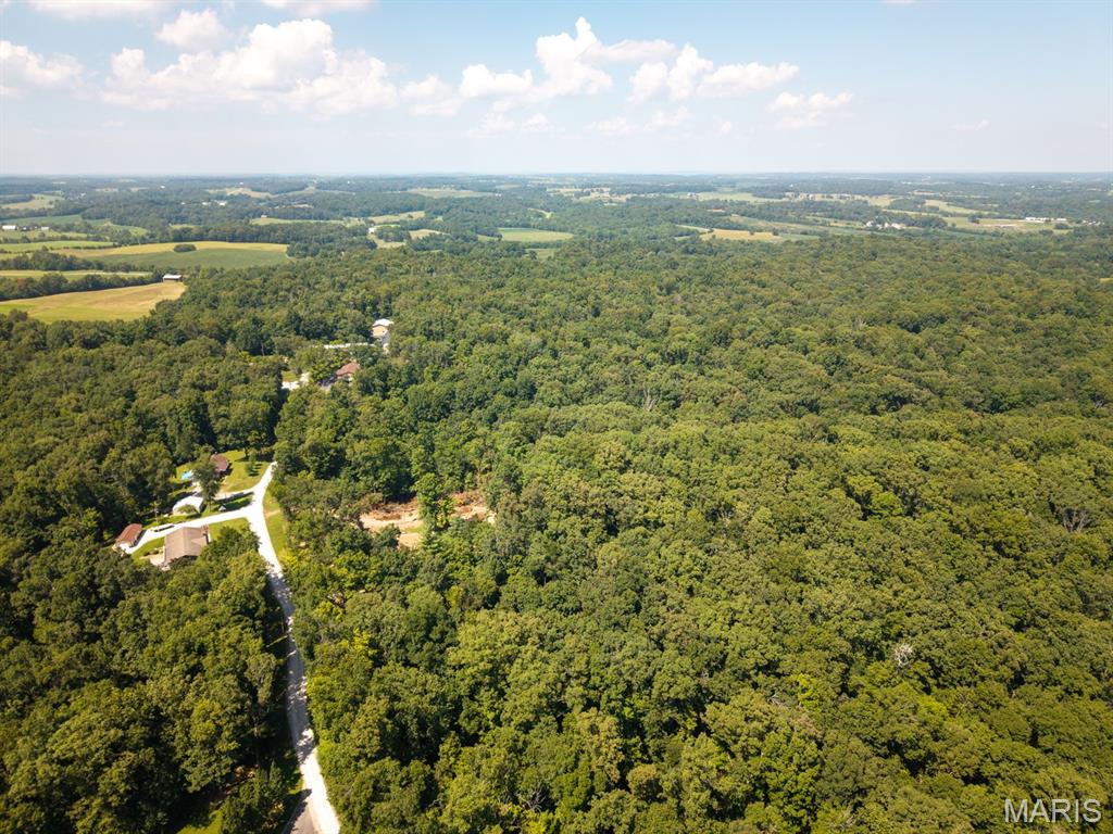 292 Quail Trail Uniontown, MO 63783 - Photo 46 of 51