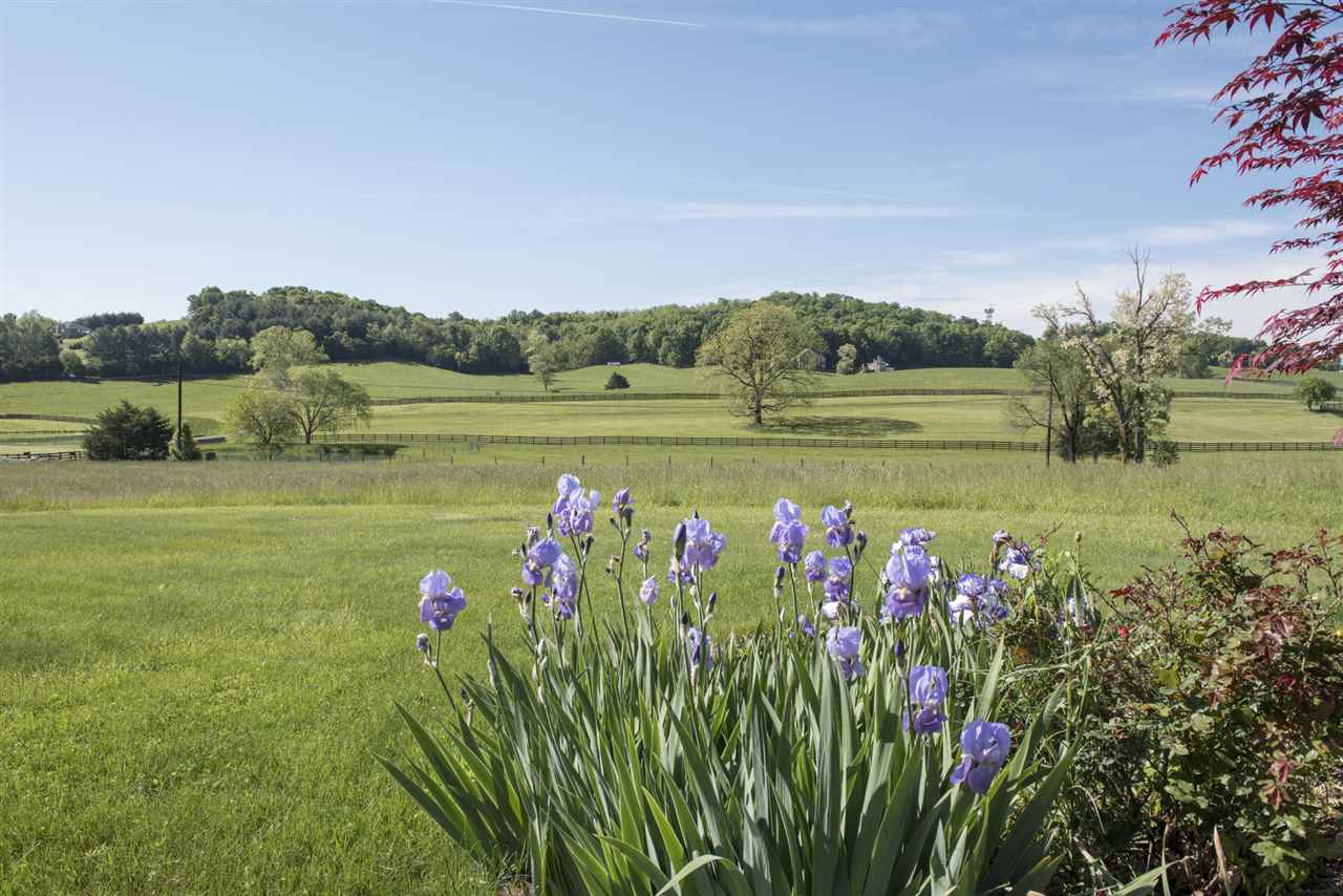 95 Lea Port Road Mount Sidney, VA 24467 - Photo 5 of 37 a view of a lake with a big yard