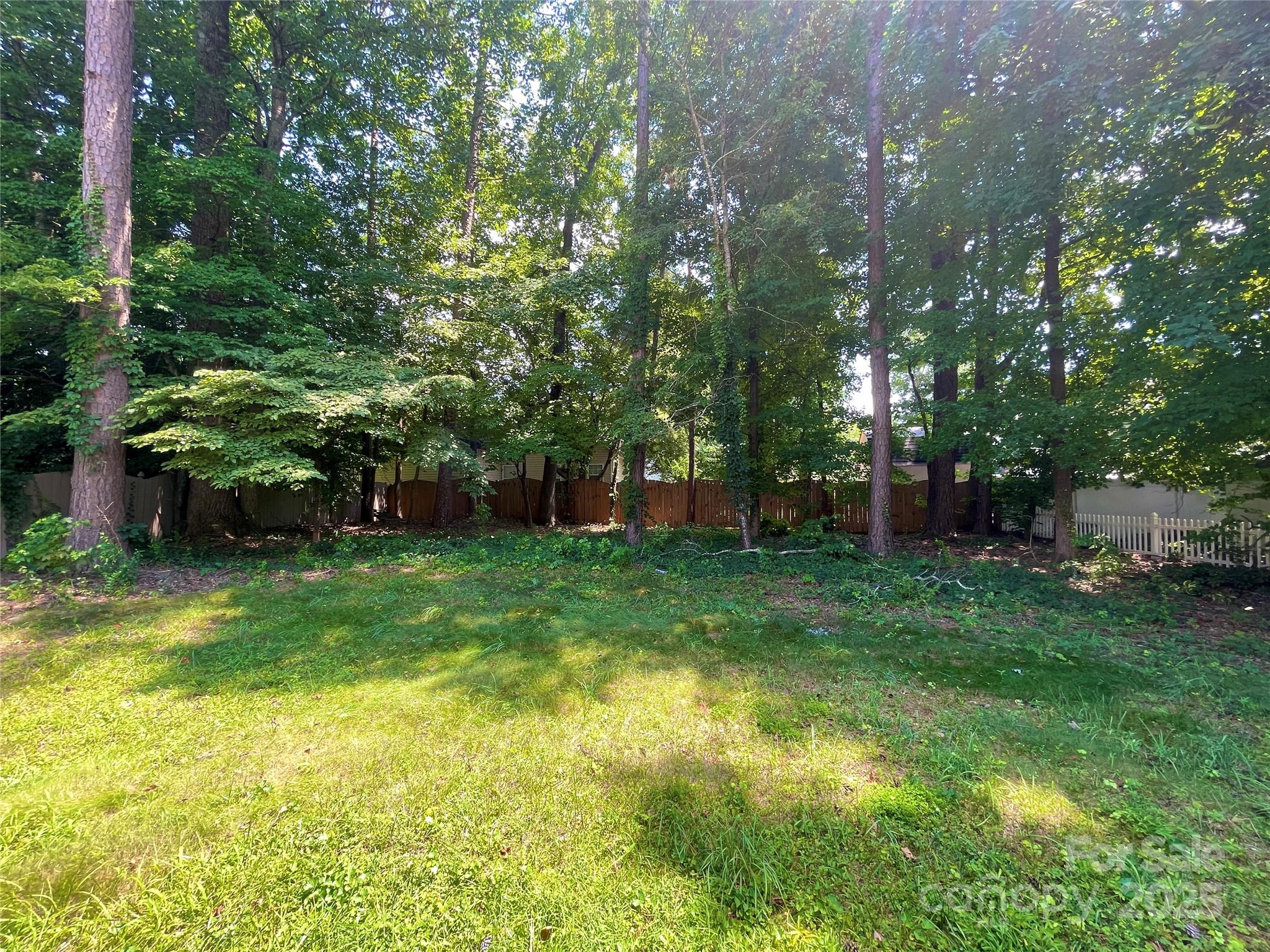2834 Ritz Lane Matthews, NC 28105 - Photo 32 of 32 a view of a yard with plants and large trees