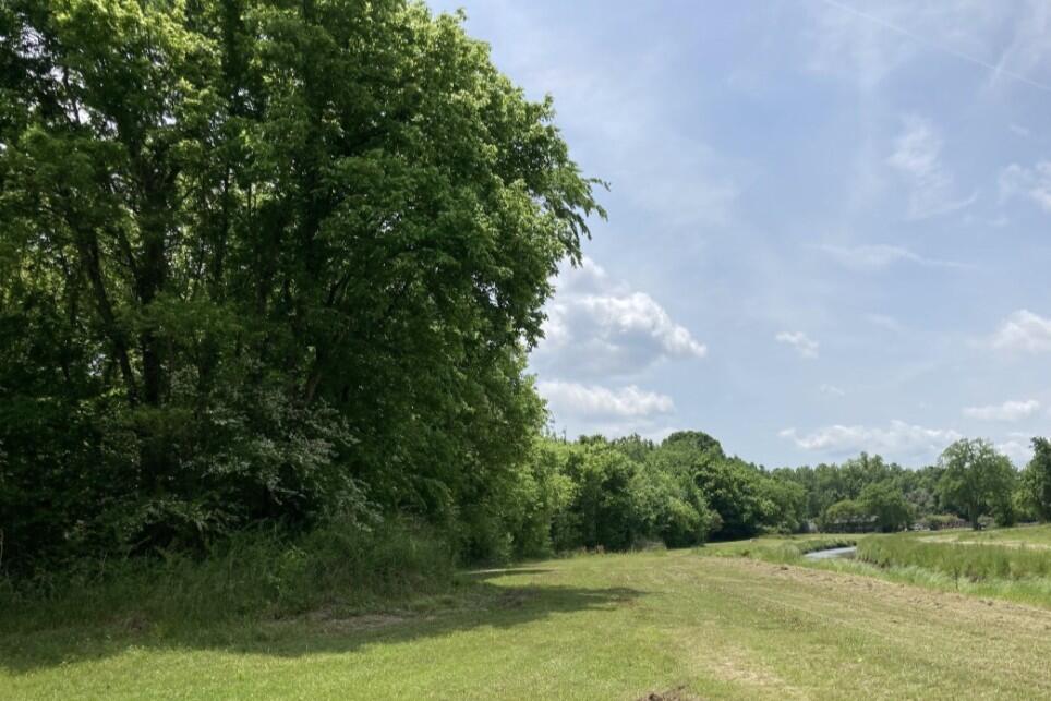 423 Furman Lane Ladson, SC 29456 - Photo 6 of 7 Peace & Tranquilty
