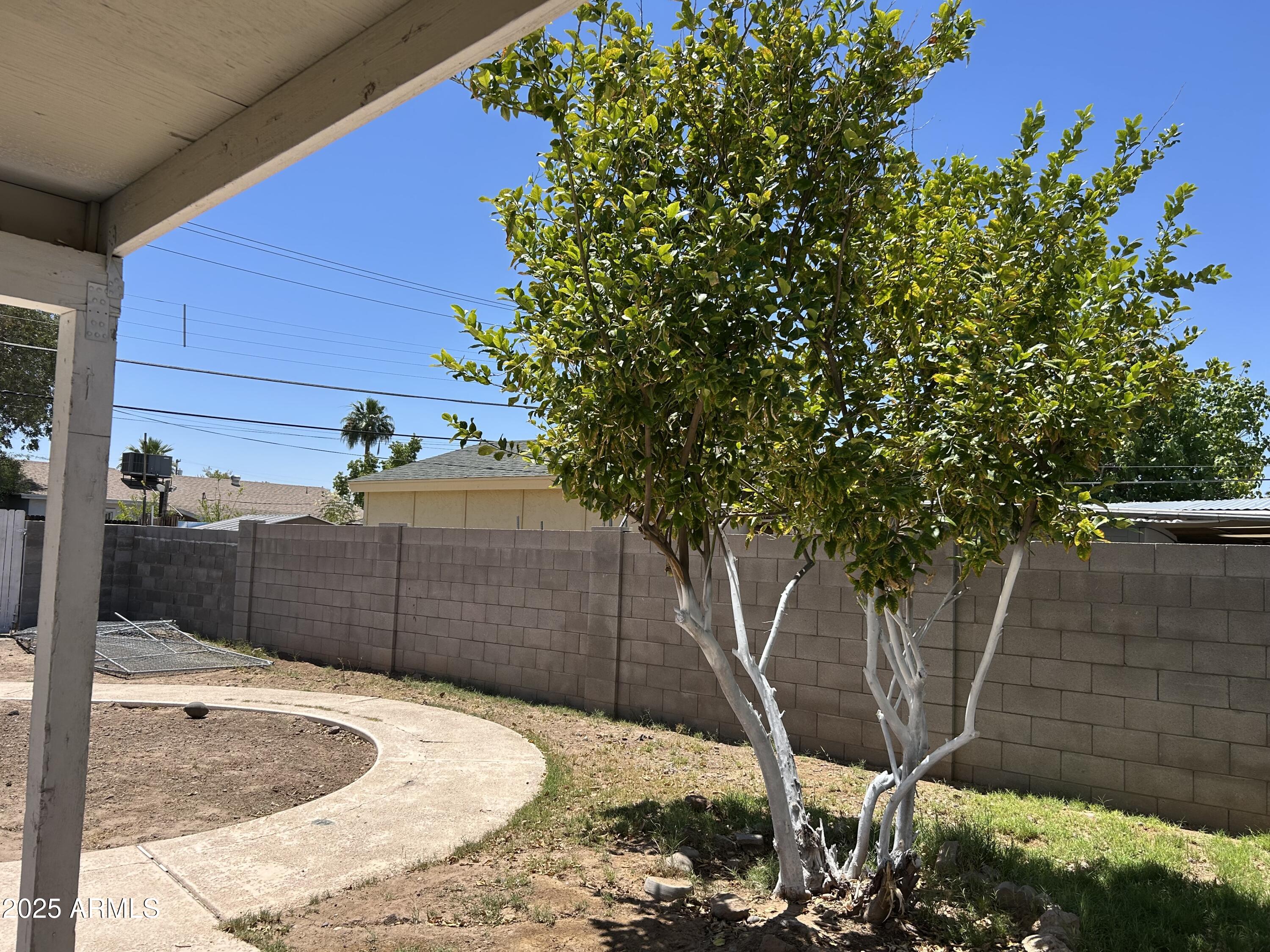 299 North Comanche Drive Chandler, AZ 85224 - Photo 20 of 22 IMG_1293