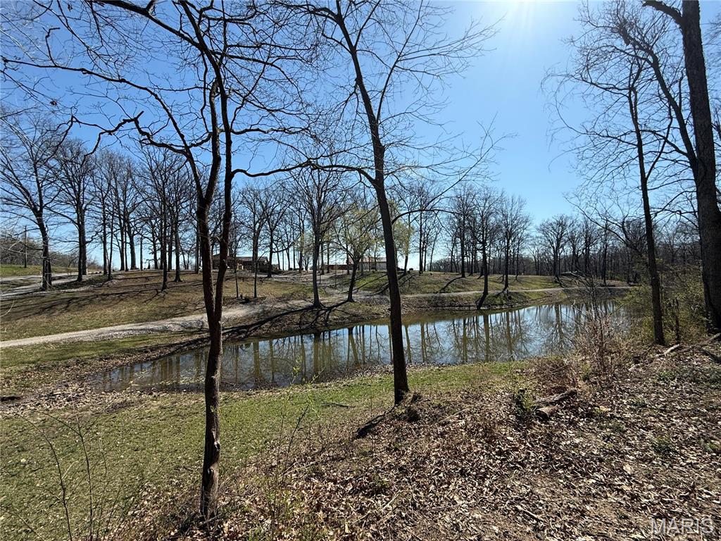 11418 Holloway Road Sparta, IL 62286 - Photo 3 of 50