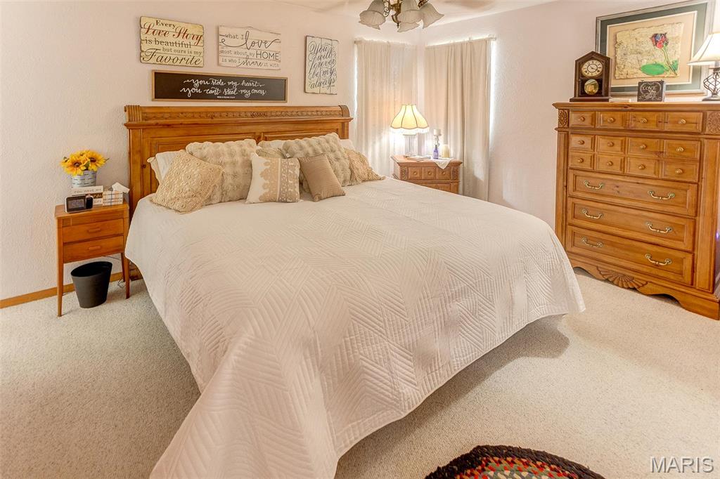11418 Holloway Road Sparta, IL 62286 - Photo 34 of 50