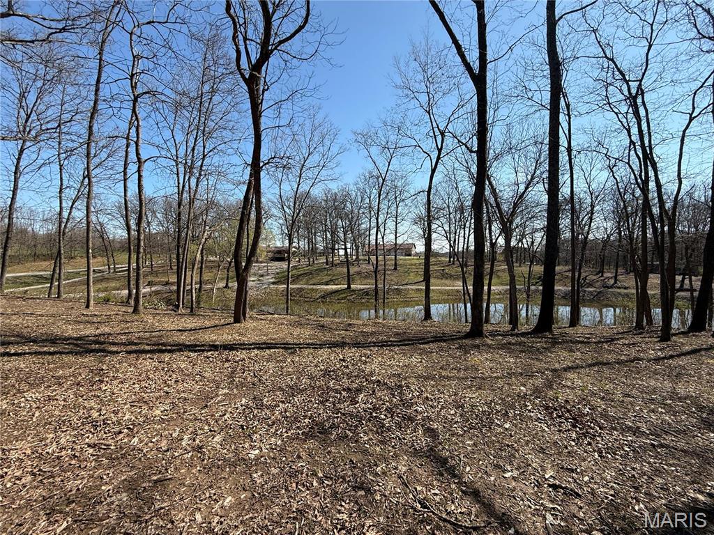 11418 Holloway Road Sparta, IL 62286 - Photo 4 of 50