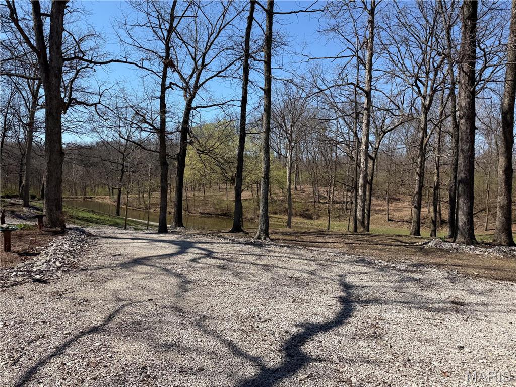 11418 Holloway Road Sparta, IL 62286 - Photo 8 of 50