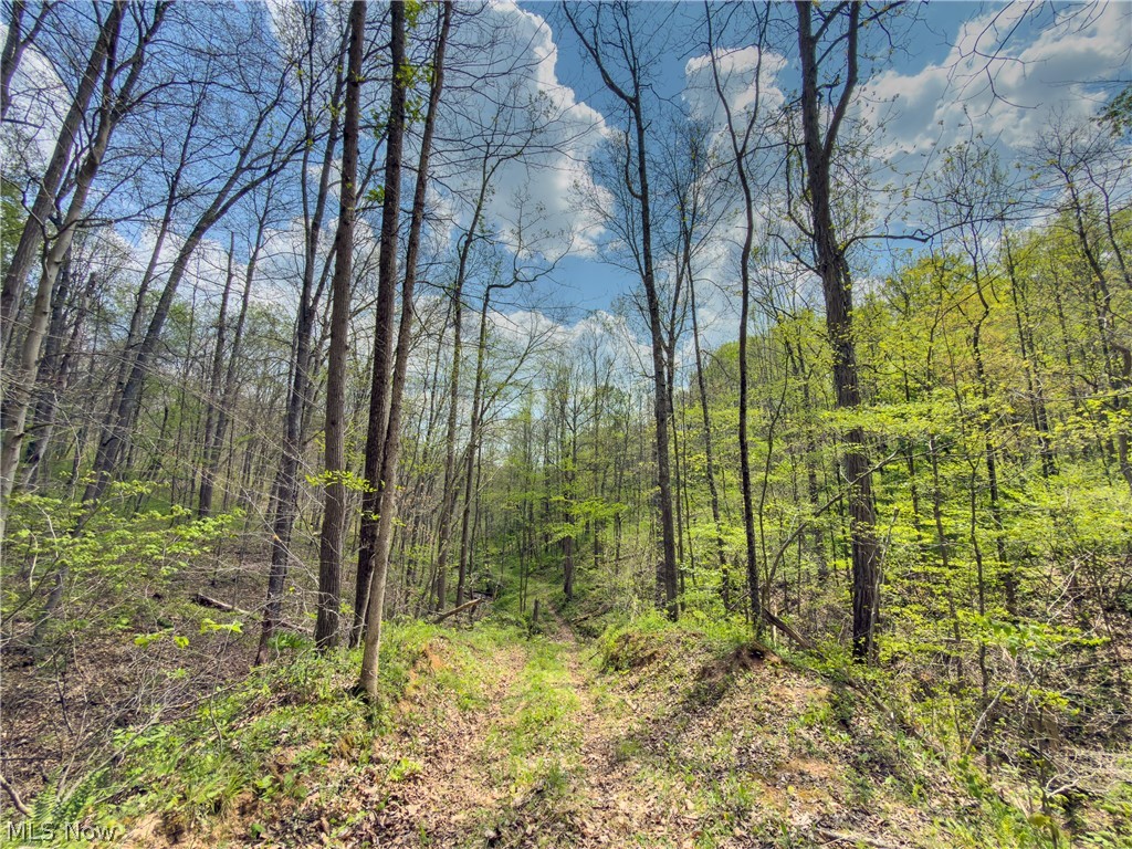 Beardmore Road Wingett Run, OH 45789 - Photo 24 of 43