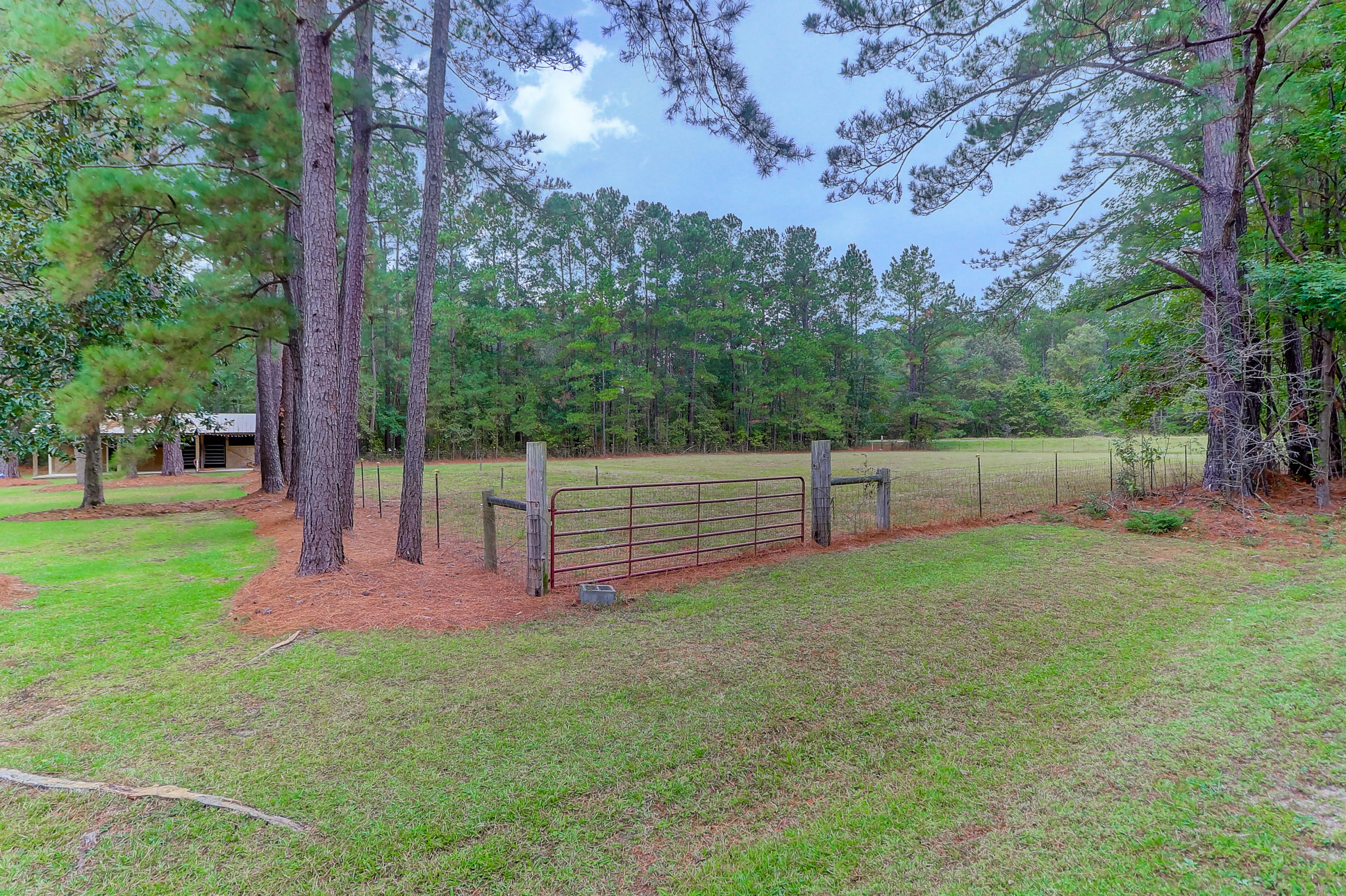 1012 Beaver Dam Road Bonneau, SC 29431 - Photo 3 of 52 1012 Beaver Dam (5)
