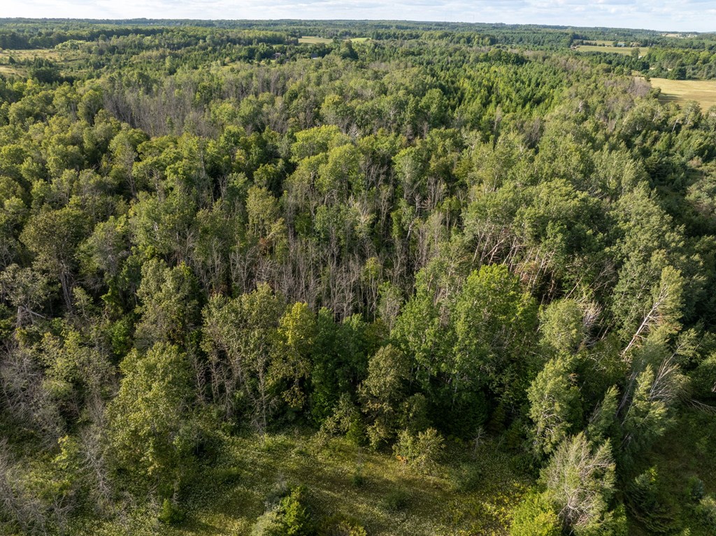 Tbd Tbd County Road Sister Bay, WI 54234 - Photo 24 of 32