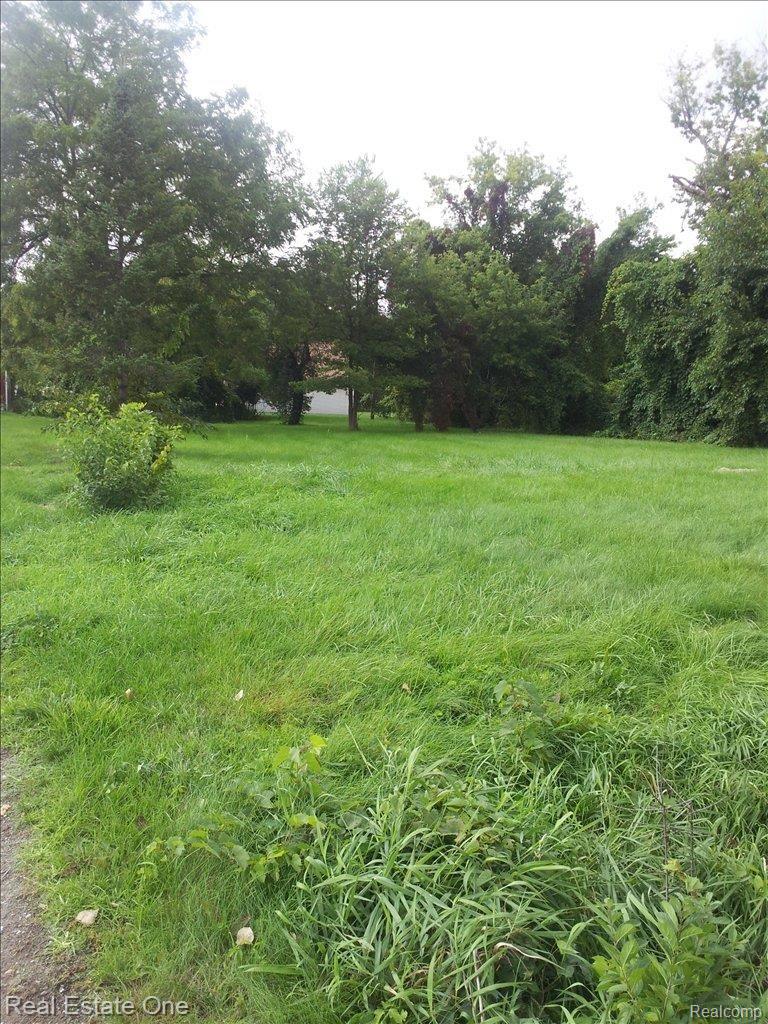 V/l Haggerty Road Belleville, MI 48111 - Photo 2 of 6 2011-09-21 14.35.15