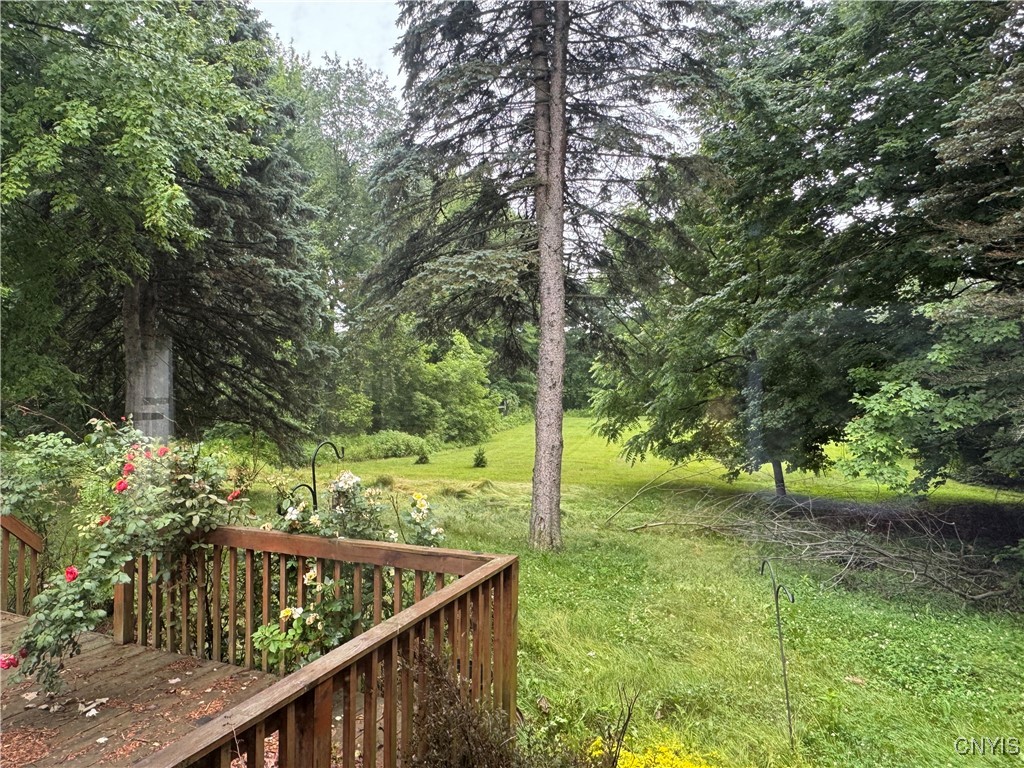 46151 Olney Road Alexandria, NY 13679 - Photo 15 of 15