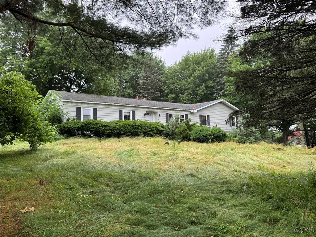 46151 Olney Road Alexandria, NY 13679 - Photo 4 of 15
