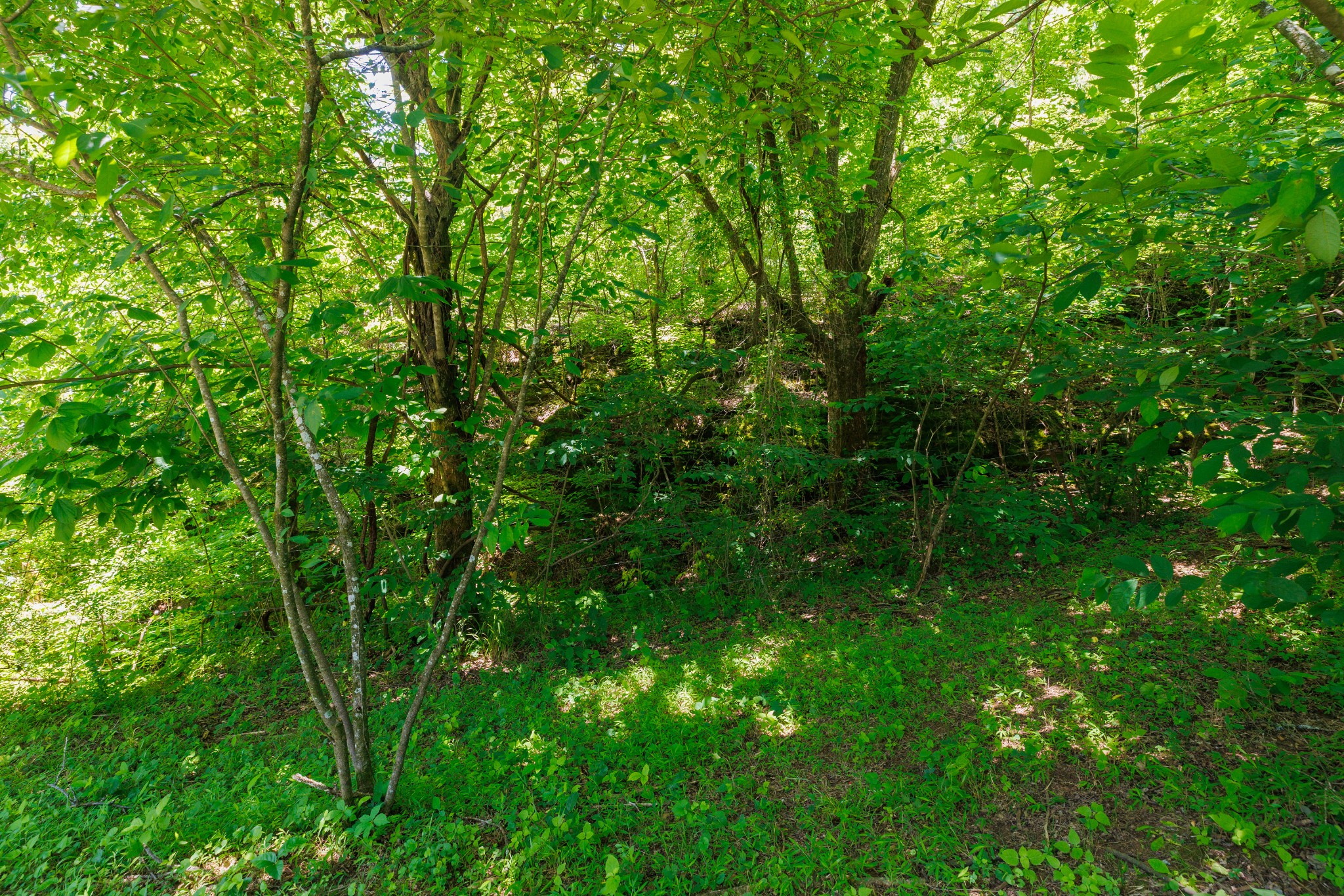 2022 Southport Road Culleoka, TN 38451 - Photo 62 of 71