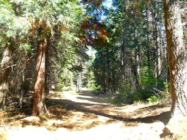 Lot 4 Off Westerly Deetz Road Rd Mount Mount Shasta, CA 96067 - Photo 8 of 11 Gallery Image 8