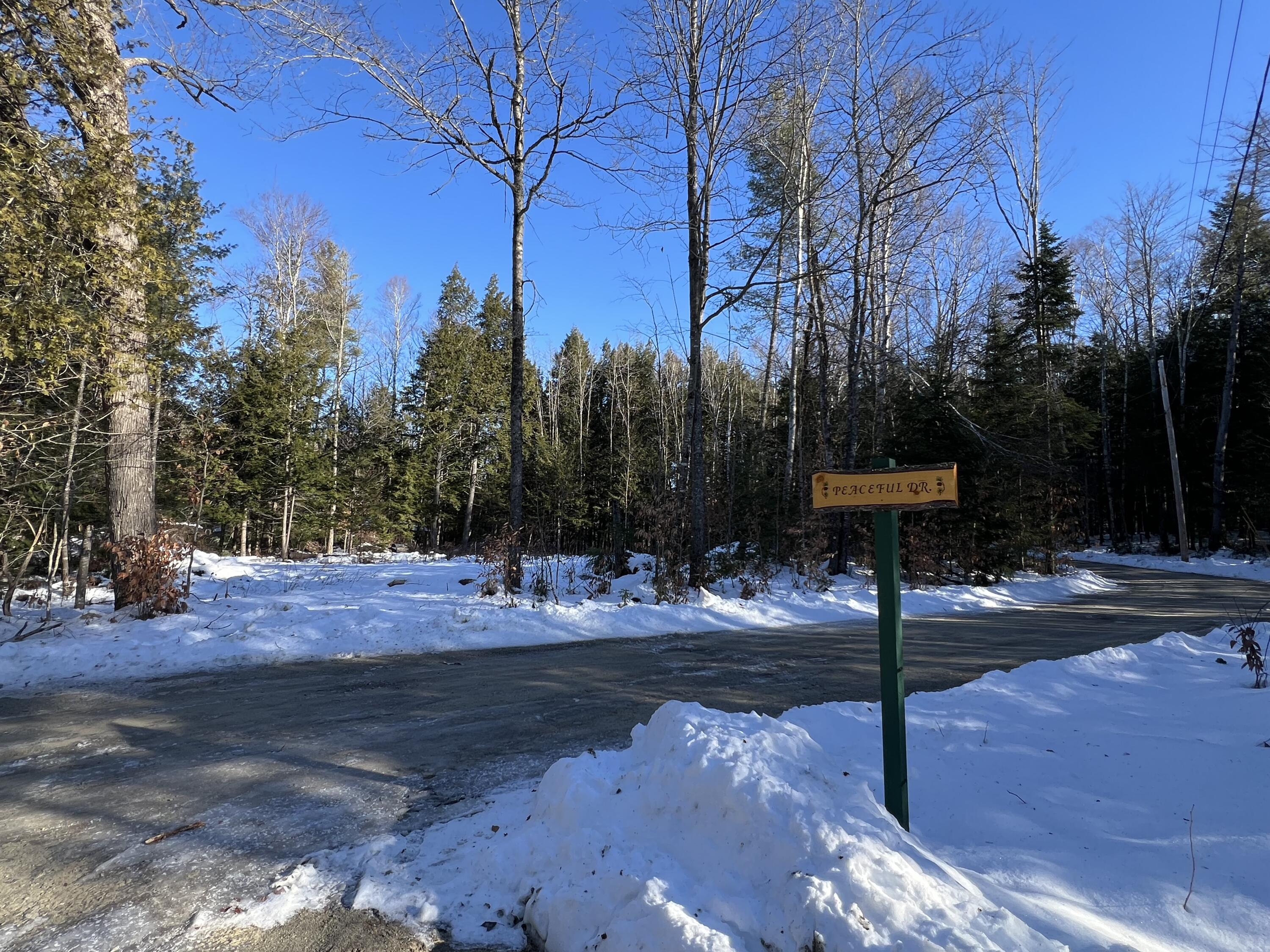 Lot 17 Shues Lane Ripley, ME 04930 - Photo 5 of 13 5