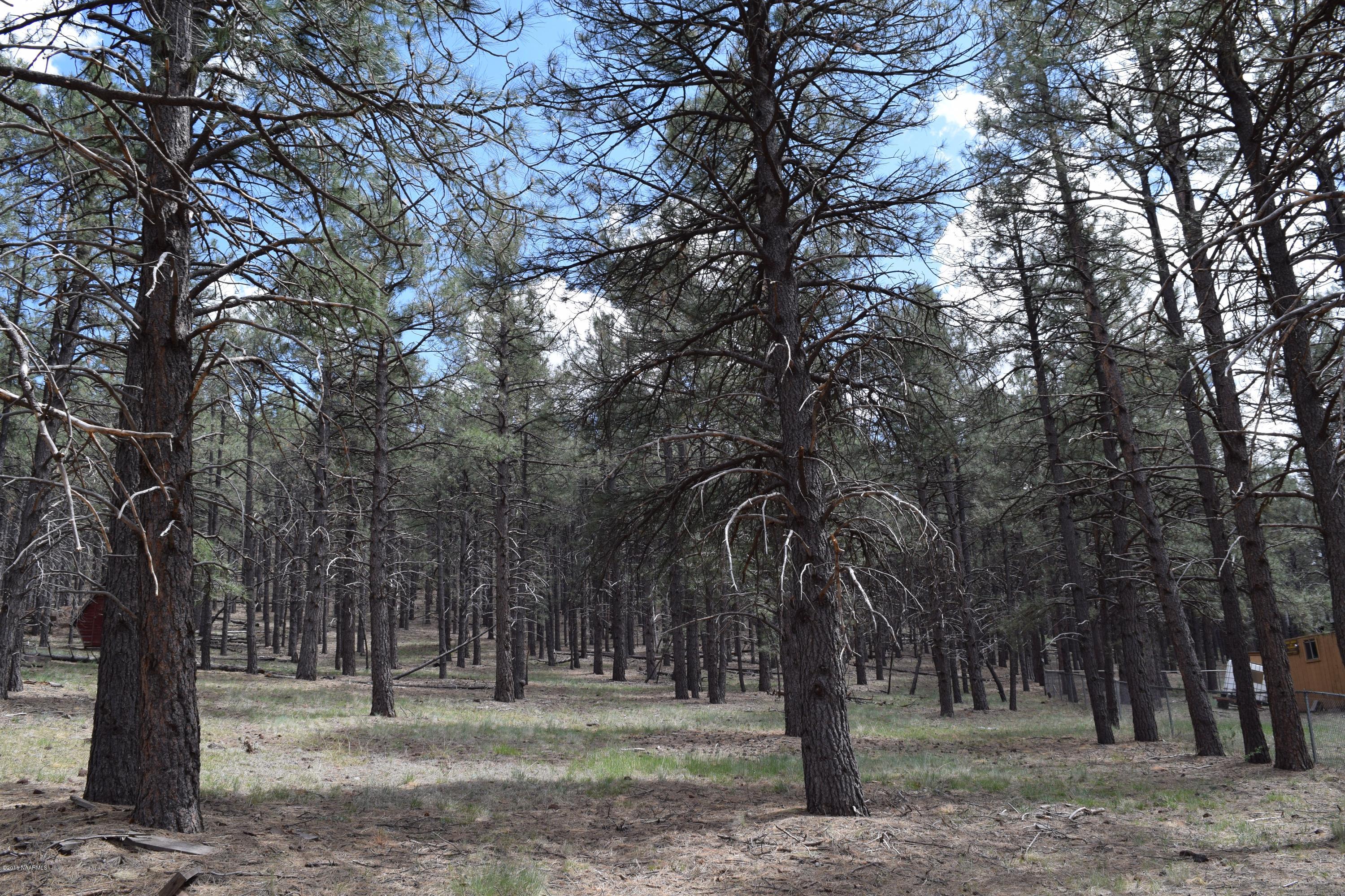 13554 Kings Deer Road Parks, AZ 86018 - Photo 1 of 10 DSC_0358 (1)