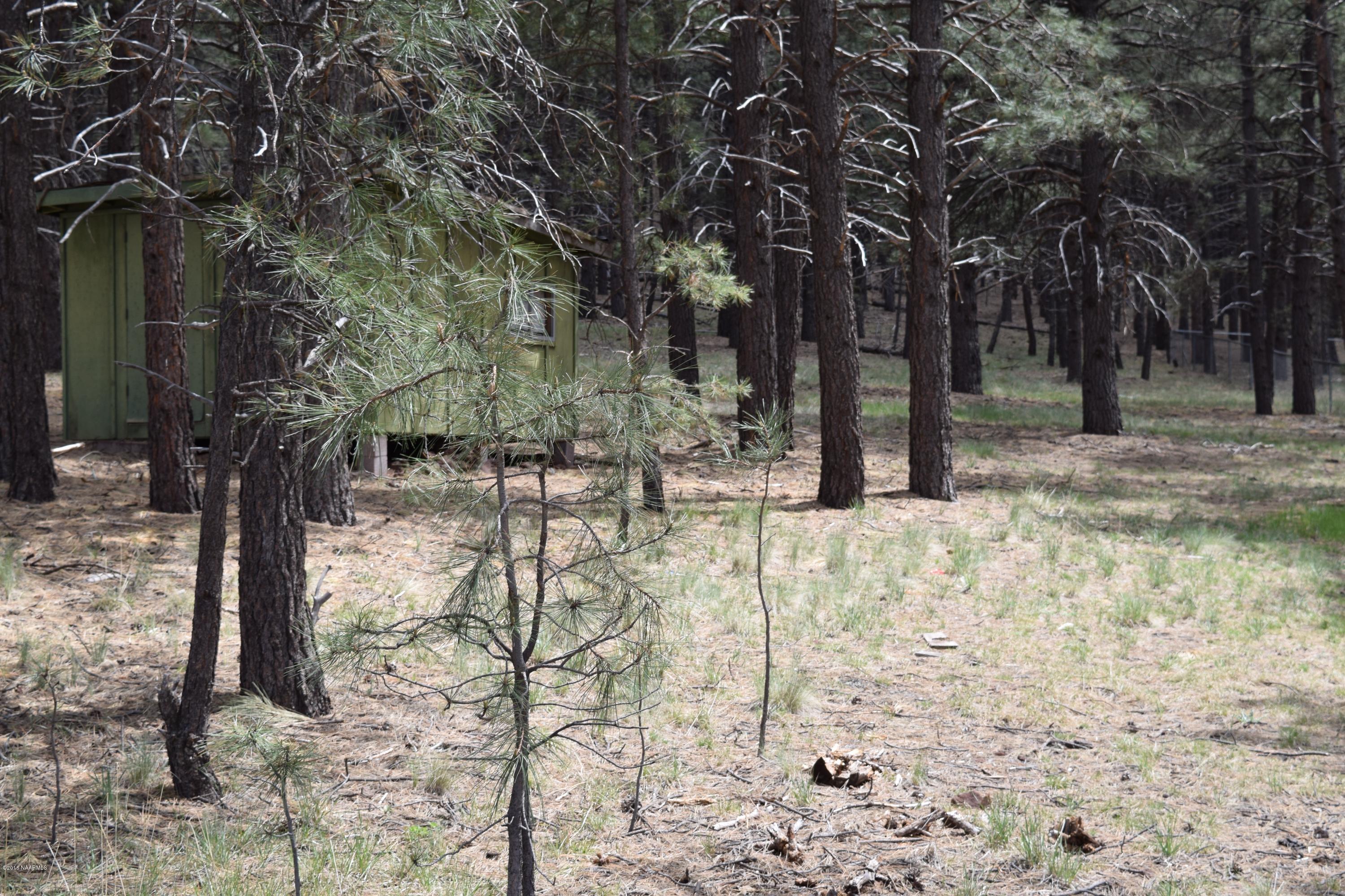 13554 Kings Deer Road Parks, AZ 86018 - Photo 3 of 10 land