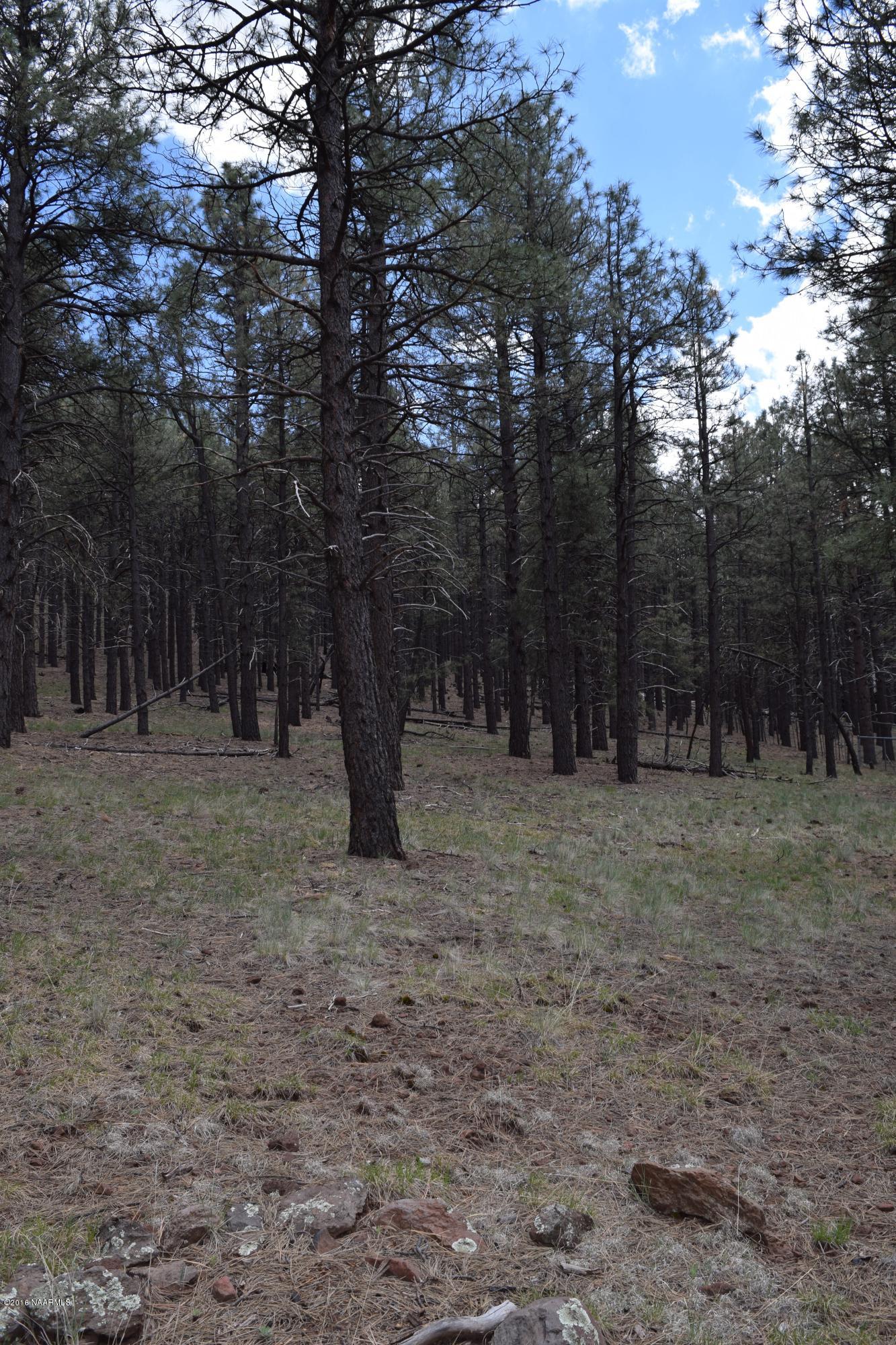 13554 Kings Deer Road Parks, AZ 86018 - Photo 6 of 10 DSC_0352 (1)