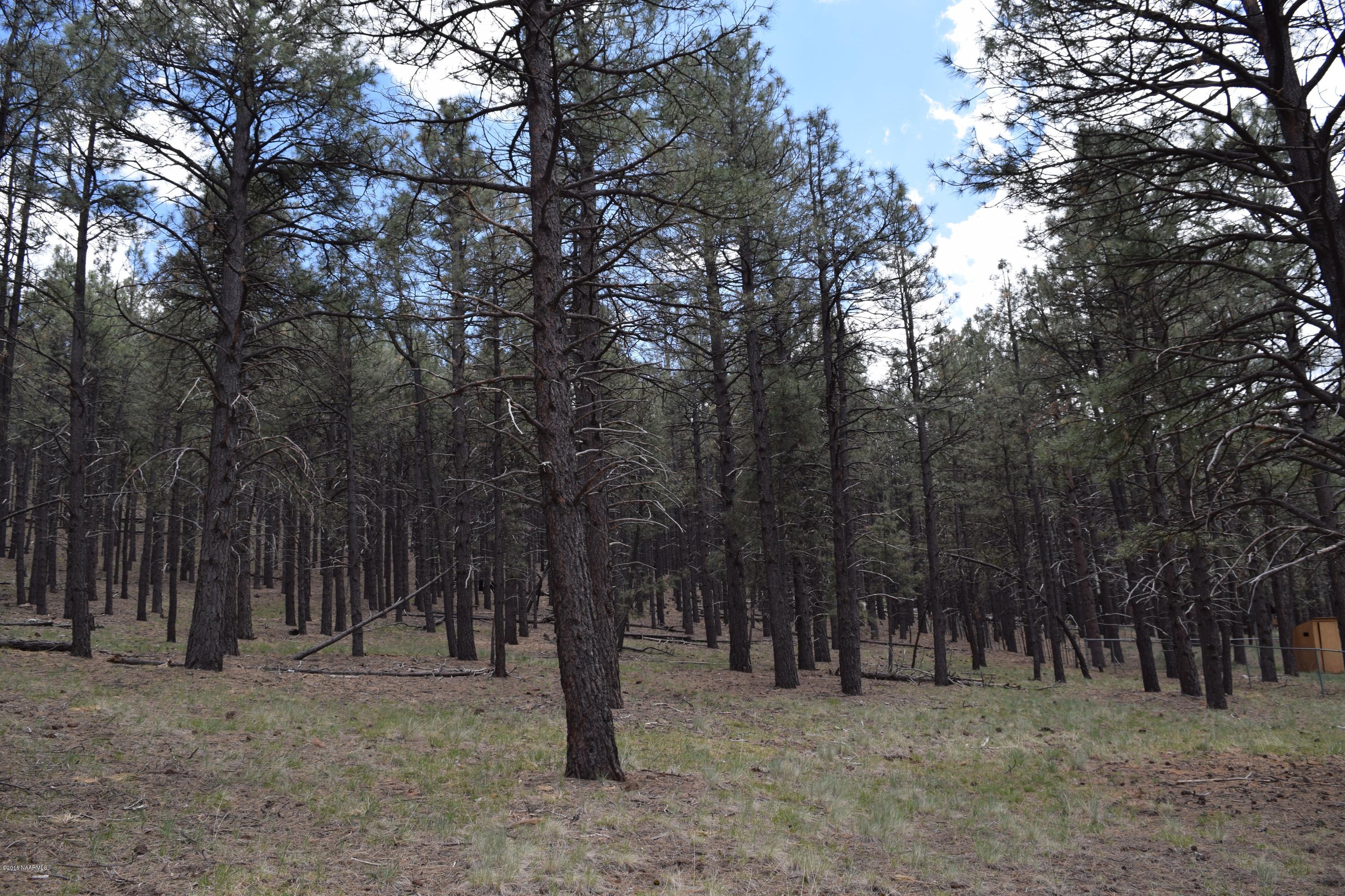 13554 Kings Deer Road Parks, AZ 86018 - Photo 7 of 10 DSC_0353 (1)