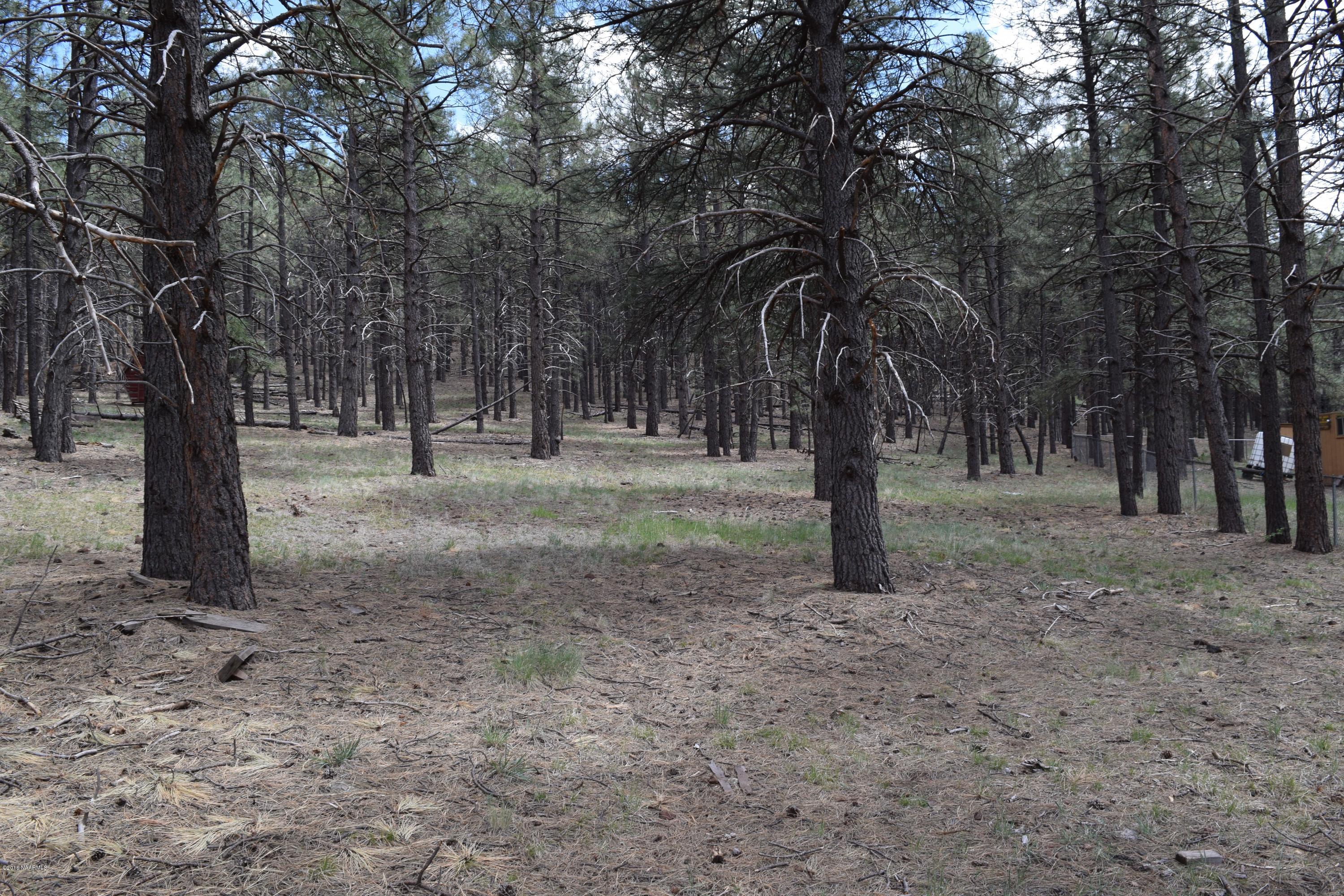 13554 Kings Deer Road Parks, AZ 86018 - Photo 10 of 10 DSC_0359 (1)