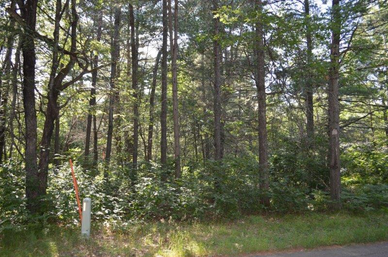 24-64 White Tail Acres Road St. Germain, WI 54558 - Photo 5 of 9 Gallery Image 5