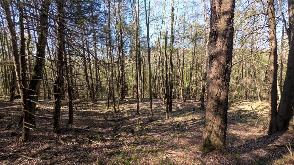 Lot 5 East River Road Andes, NY 13731 - Photo 31 of 39