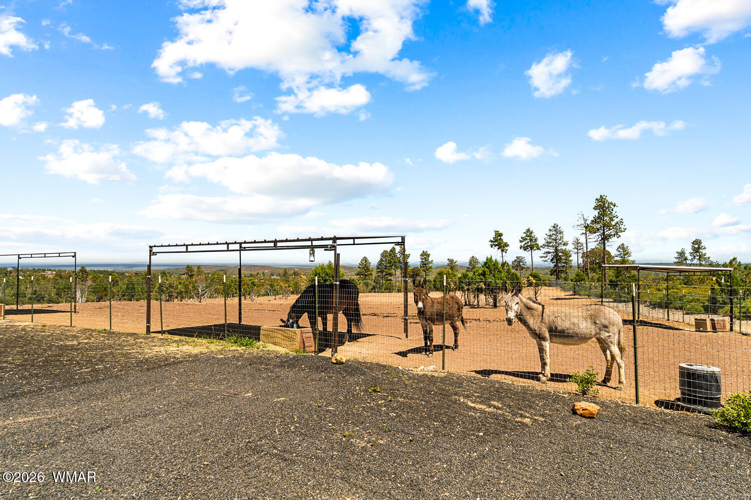 512 Fieldy Road Show Low, AZ 85901 - Photo 97 of 128 3-Acre Fenced Pasture
