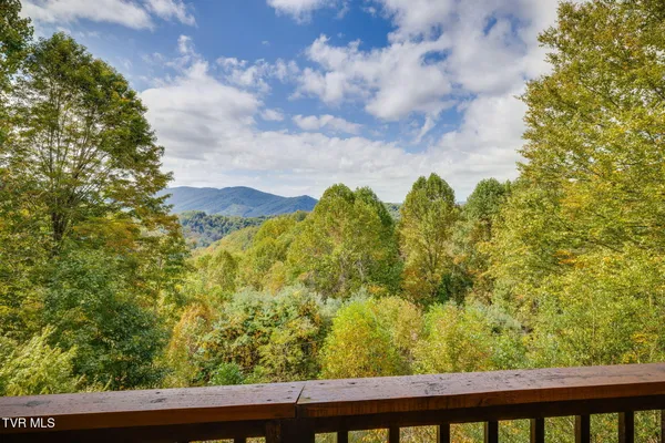 $699,900 | 107 Deer Run Drive, Flag Pond, TN 37657