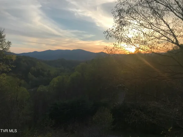 $699,900 | 107 Deer Run Drive, Flag Pond, TN 37657