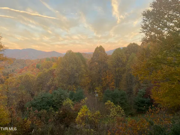 $699,900 | 107 Deer Run Drive, Flag Pond, TN 37657