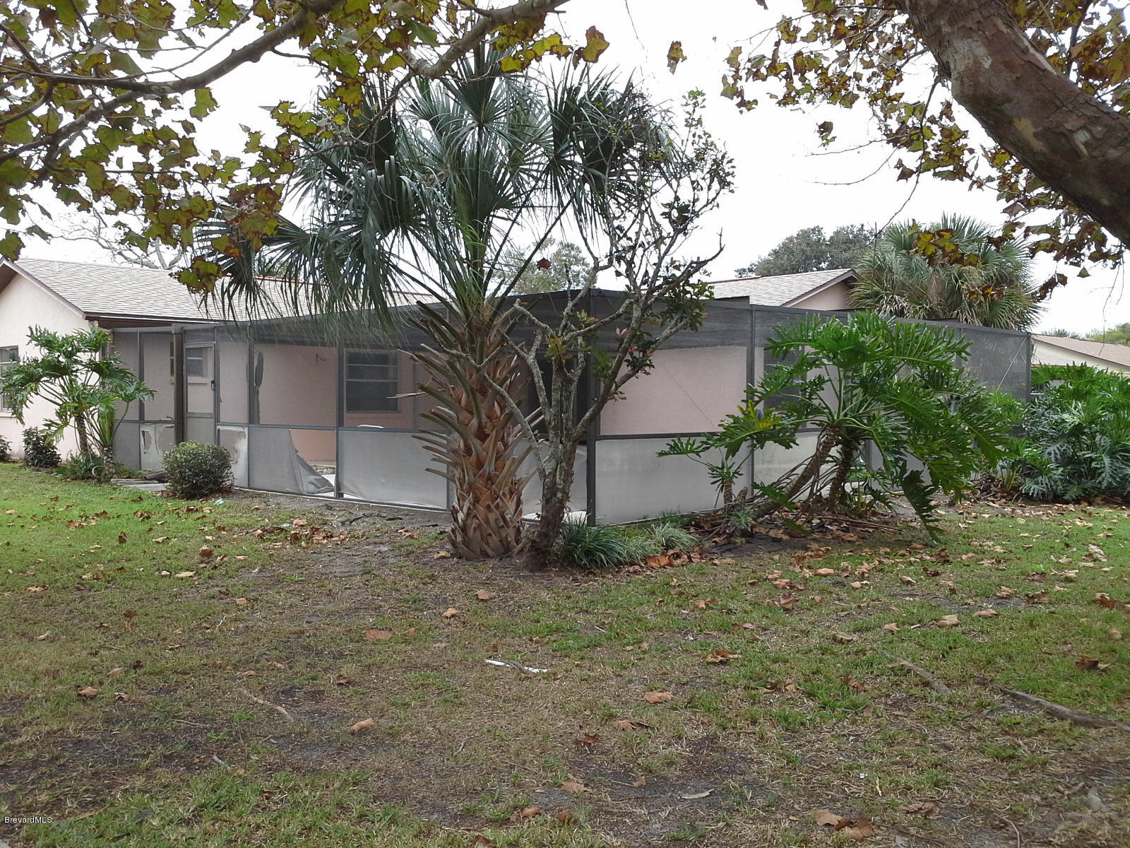 1633 West Shores Road Melbourne, FL 32935 - Photo 10 of 10 Tropical Back Yard