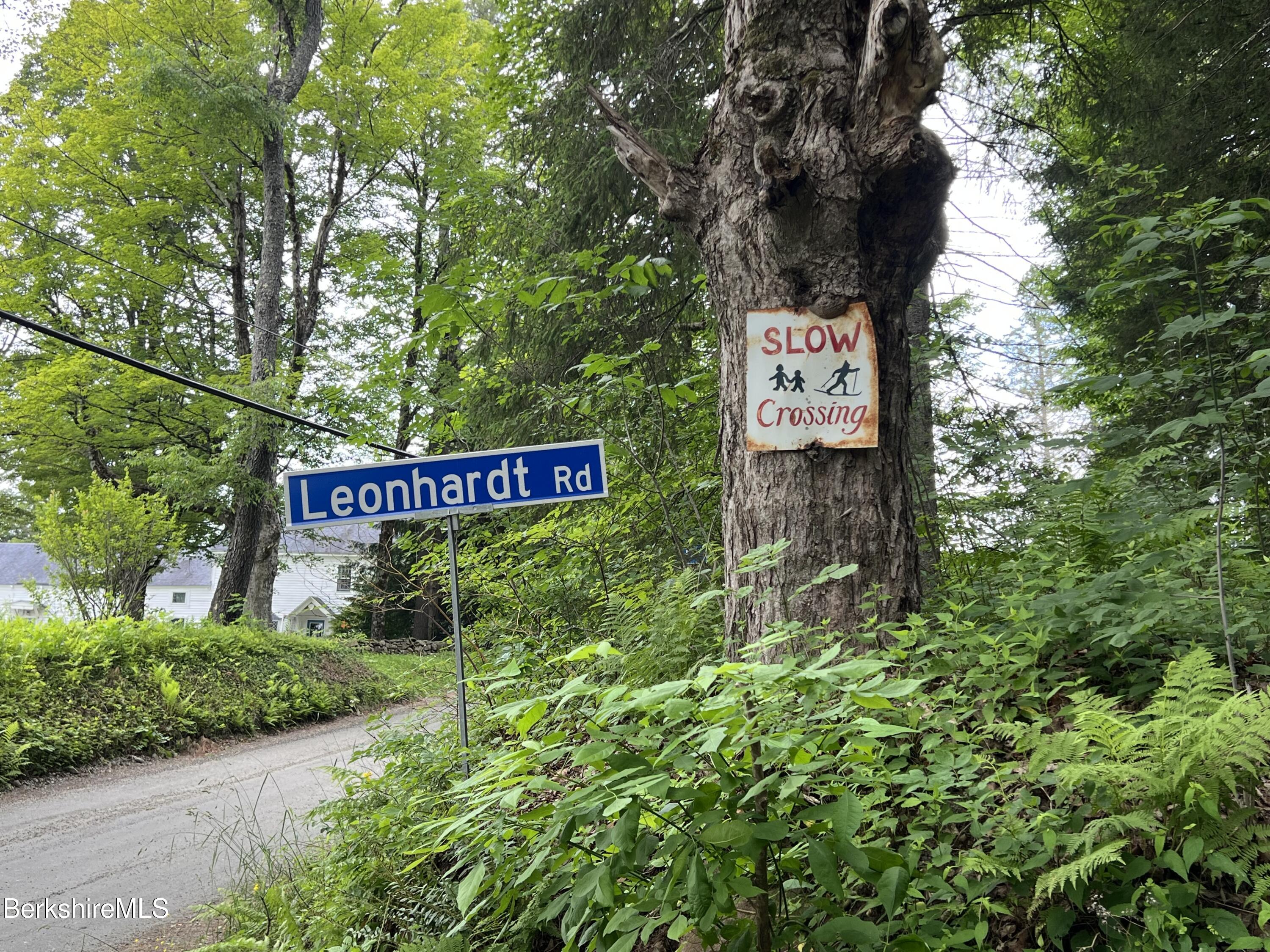 Lot26 Leonhardt Road Becket, MA 01223 - Photo 3 of 11 LOT26 LEONHARDT RD