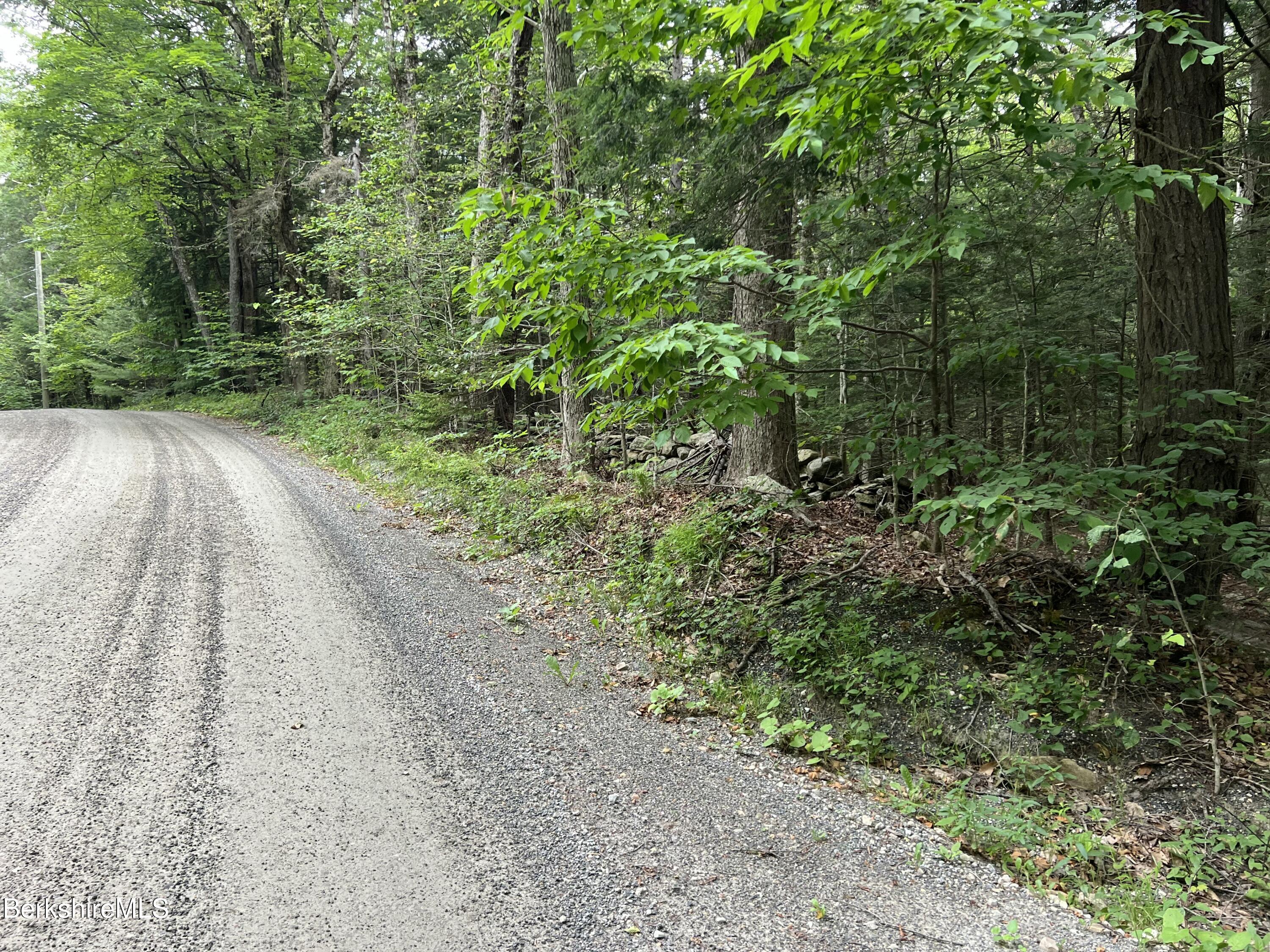 Lot26 Leonhardt Road Becket, MA 01223 - Photo 5 of 11 LOT26 LEONHARDT RD