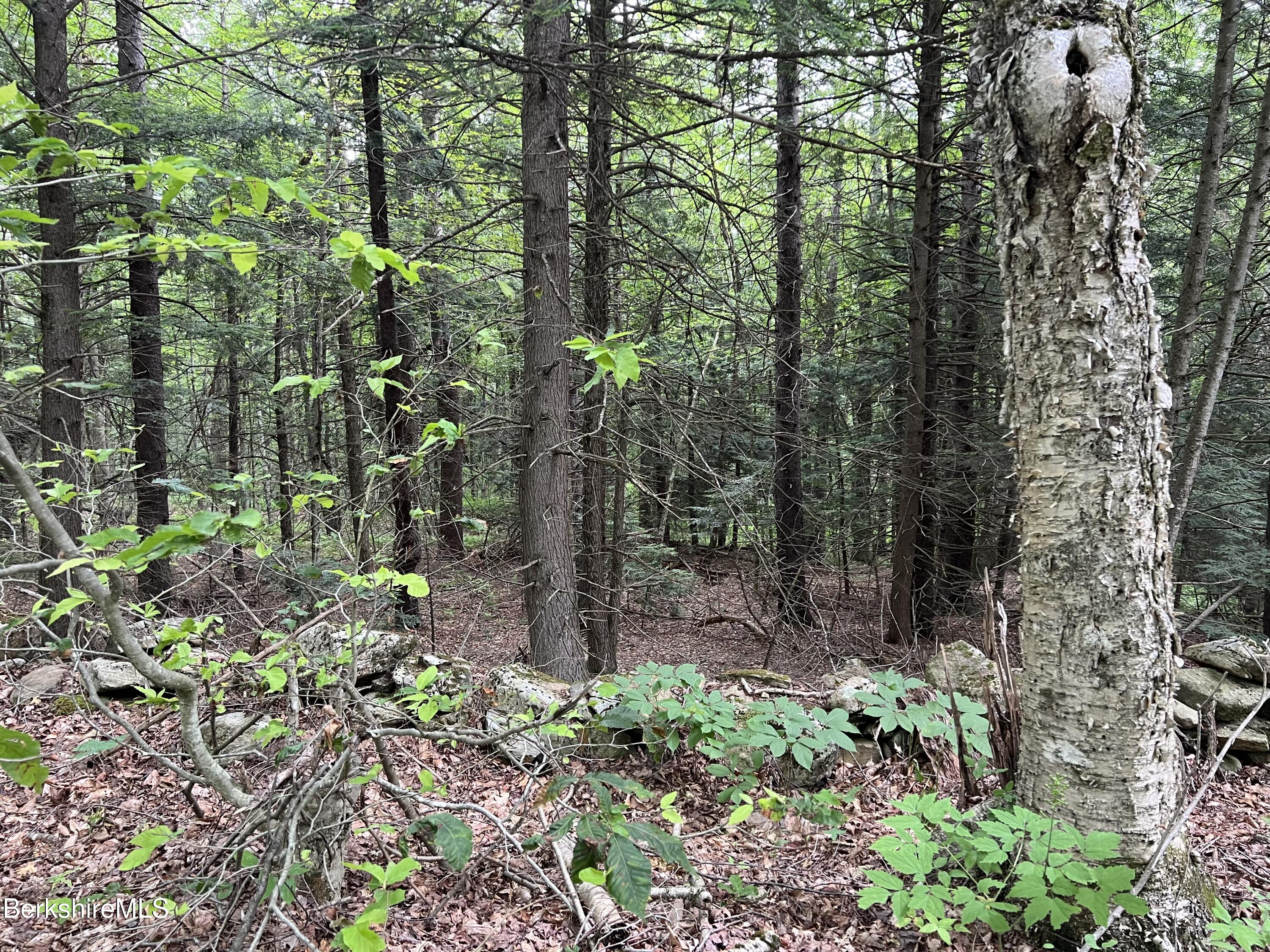 Lot26 Leonhardt Road Becket, MA 01223 - Photo 7 of 11 LOT26 LEONHARDT RD