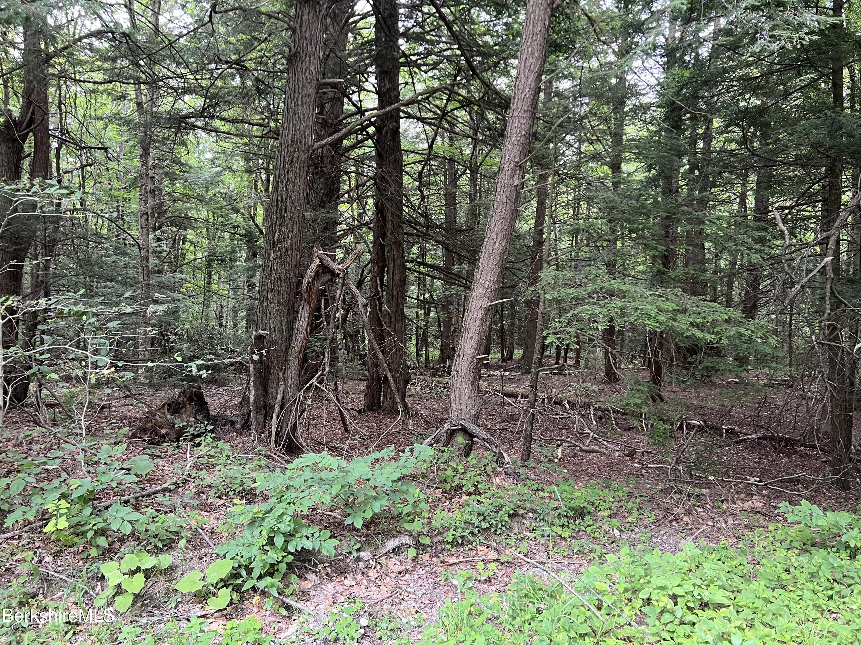 Lot26 Leonhardt Road Becket, MA 01223 - Photo 10 of 11 LOT26 LEONHARDT RD