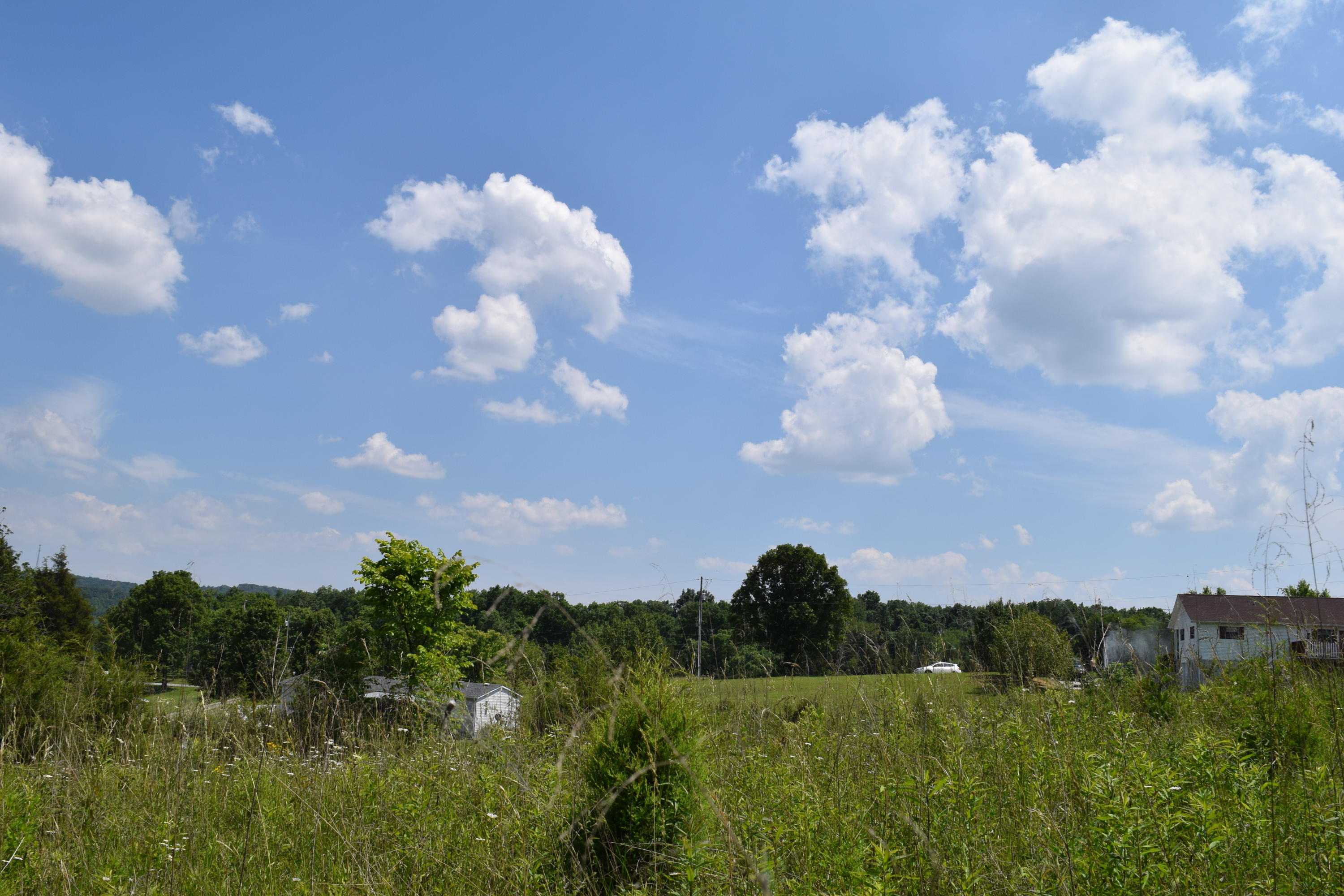 Lot 5 Elmer Hayes Road Mosheim, TN 37818 - Photo 8 of 10 DSC_0260-001