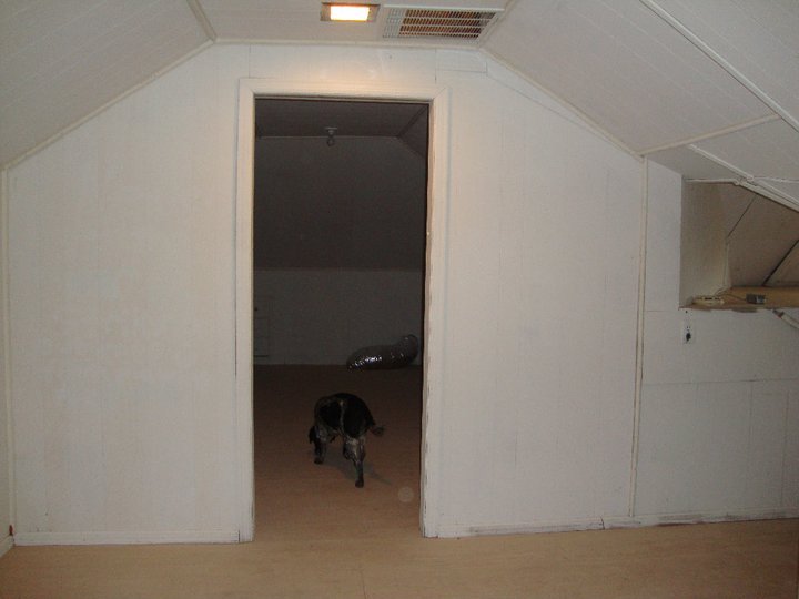 1838 Grandin Road Southwest Roanoke, VA 24015 - Photo 29 of 31 HUGE attic - could be great playroom!