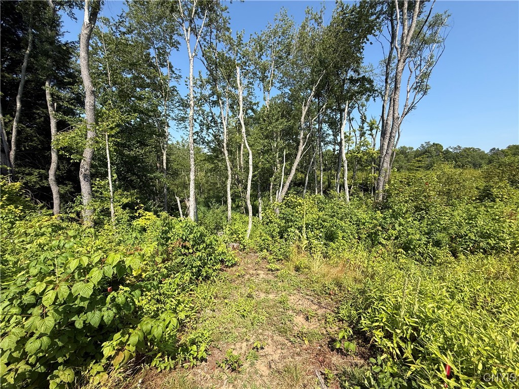 333 Albion Cross Road Pulaski, NY 13142 - Photo 11 of 45