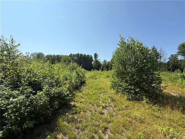 $195,000 | 333 Albion Cross Road, Pulaski, NY 13142