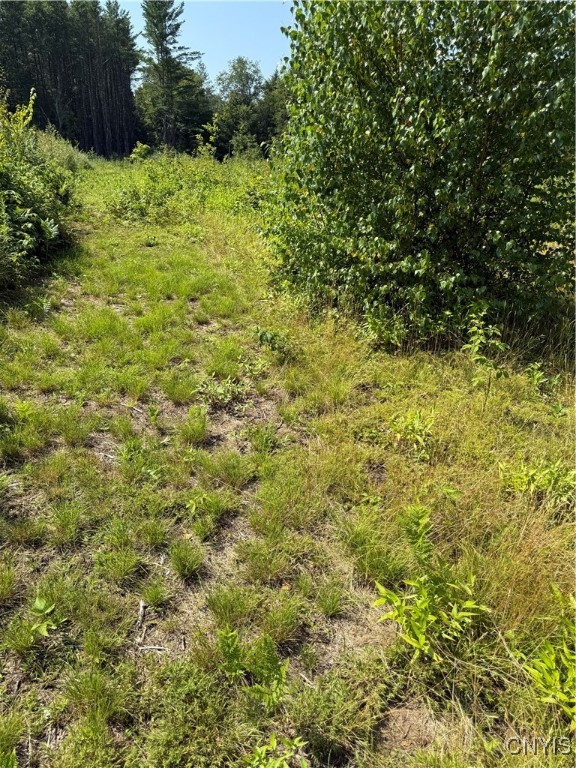 333 Albion Cross Road Pulaski, NY 13142 - Photo 14 of 45