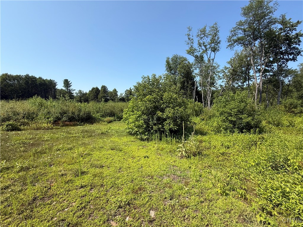 333 Albion Cross Road Pulaski, NY 13142 - Photo 17 of 45