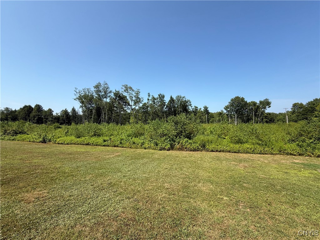 333 Albion Cross Road Pulaski, NY 13142 - Photo 21 of 45