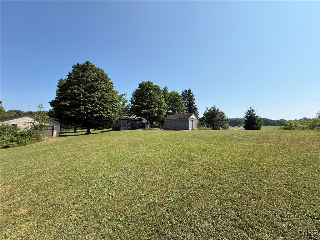 333 Albion Cross Road Pulaski, NY 13142 - Photo 8 of 45