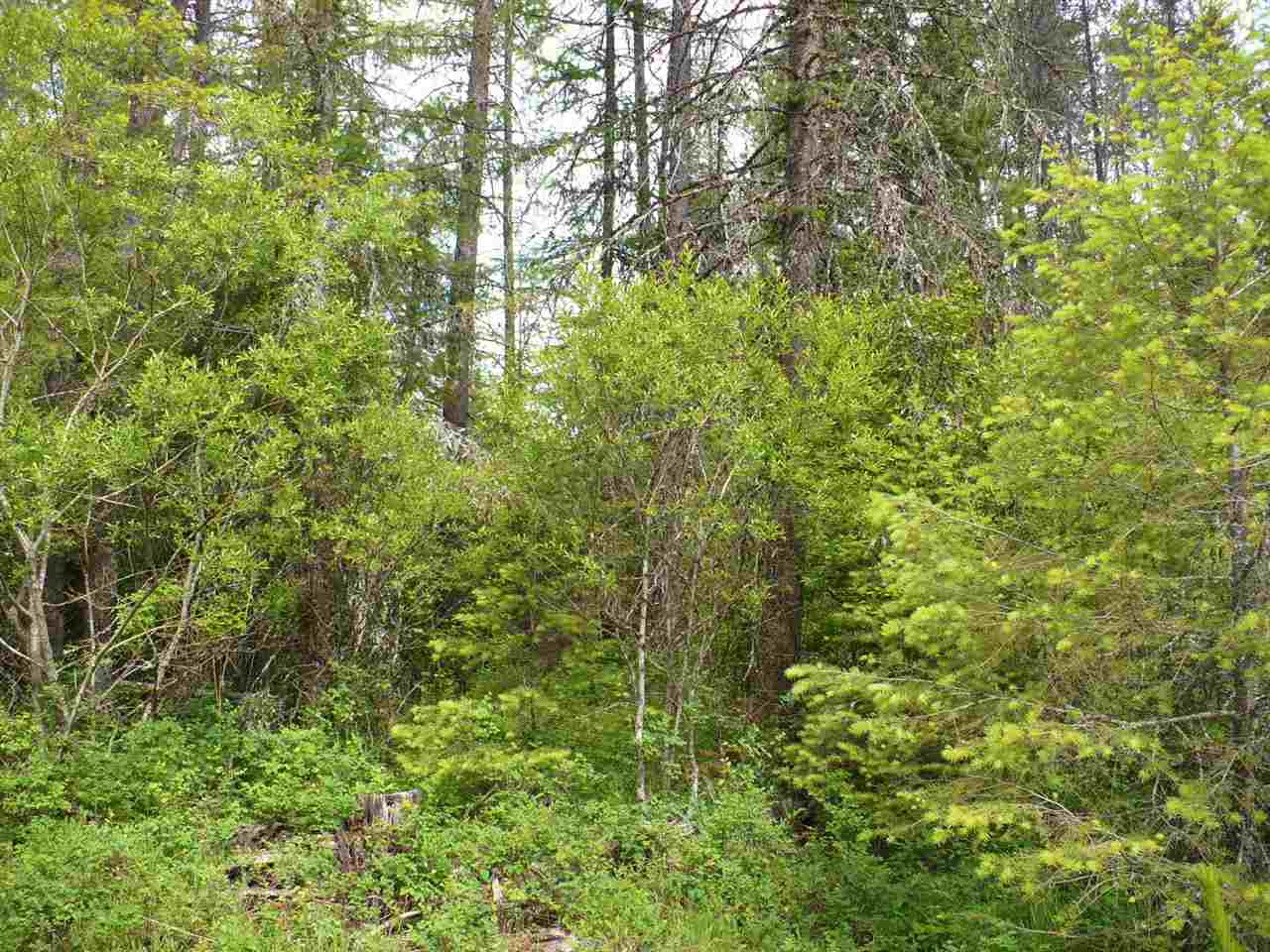 3858 White Pine Road, Unit F Loon Lake, WA 99148 - Photo 1 of 7 Gallery Image 1