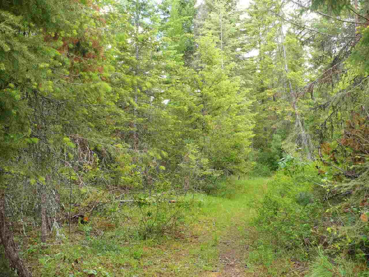 3858 White Pine Road, Unit F Loon Lake, WA 99148 - Photo 5 of 7 Gallery Image 5