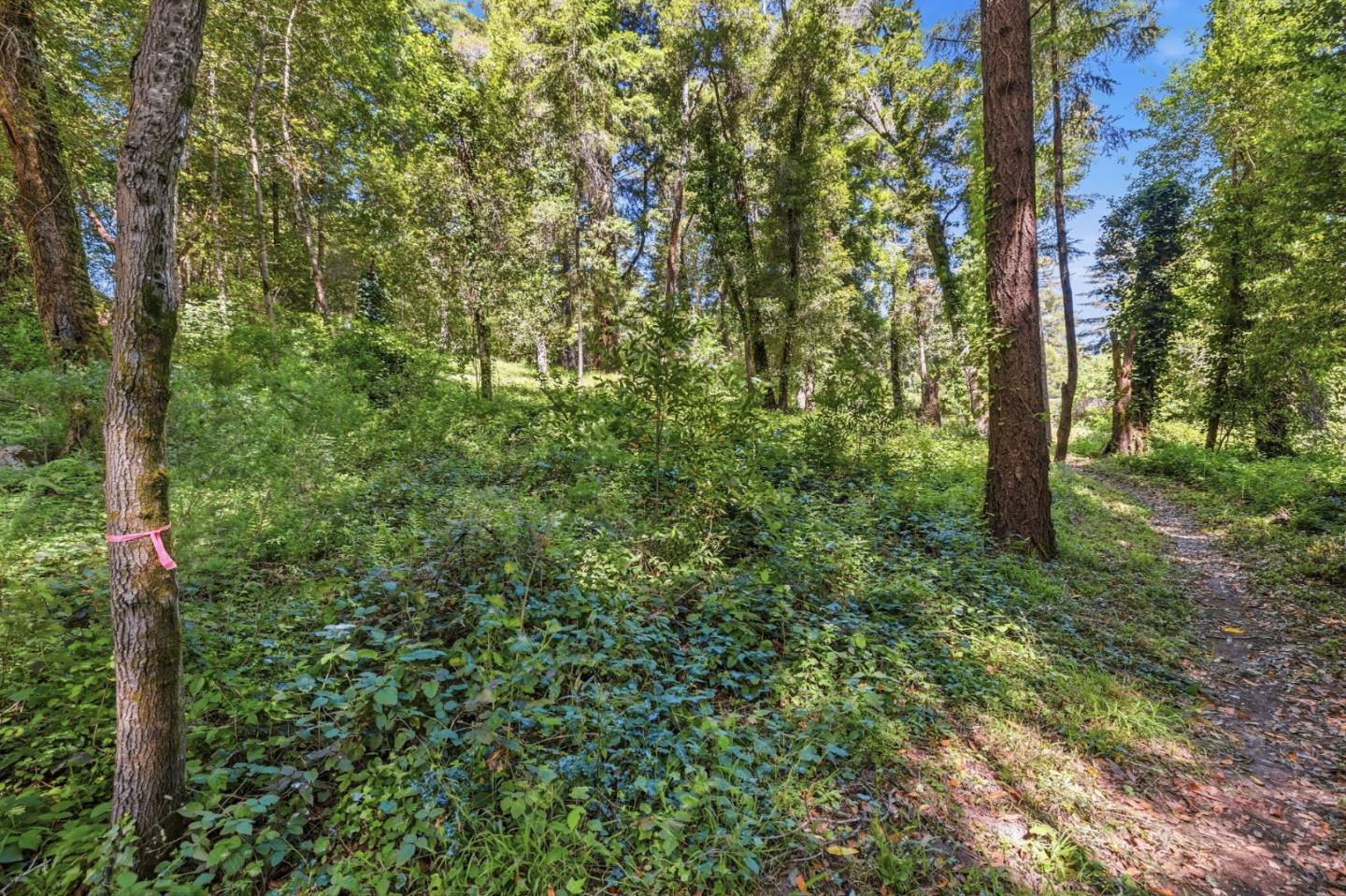 0 Garfield Way Felton, CA 95018 - Photo 8 of 21