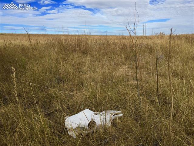 Saladay Road Calhan, CO 80808 - Photo 5 of 14