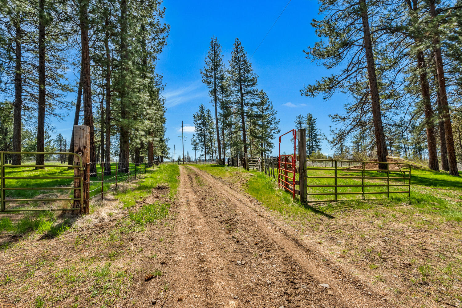 32841 River Bend Road Chiloquin, OR 97624 - Photo 58 of 77 059 Vladic River Ranch