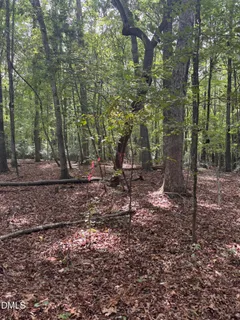 $185,000 | 0 Dark Oaks Drive, Pittsboro, NC 27312